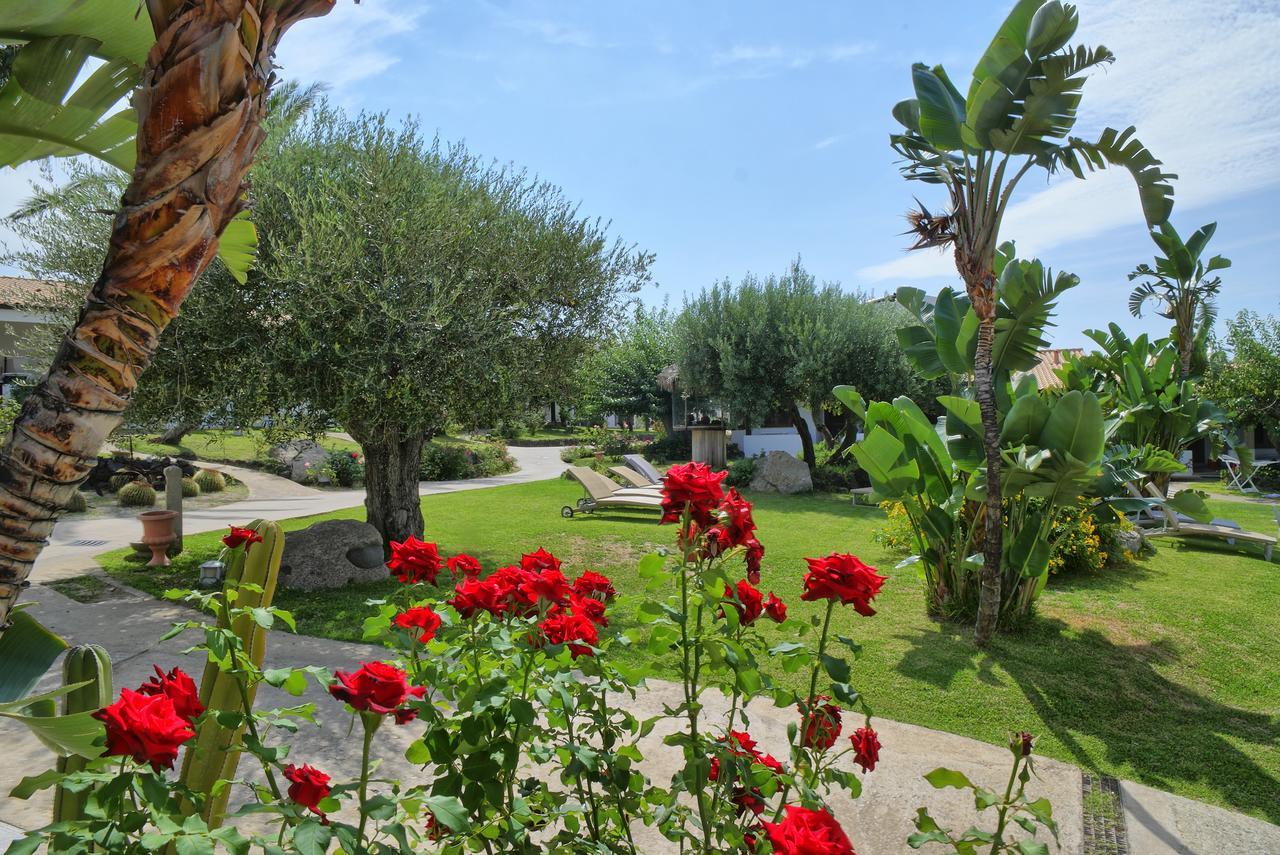 Borgo Donna Canfora Capo Vaticano Exterior foto